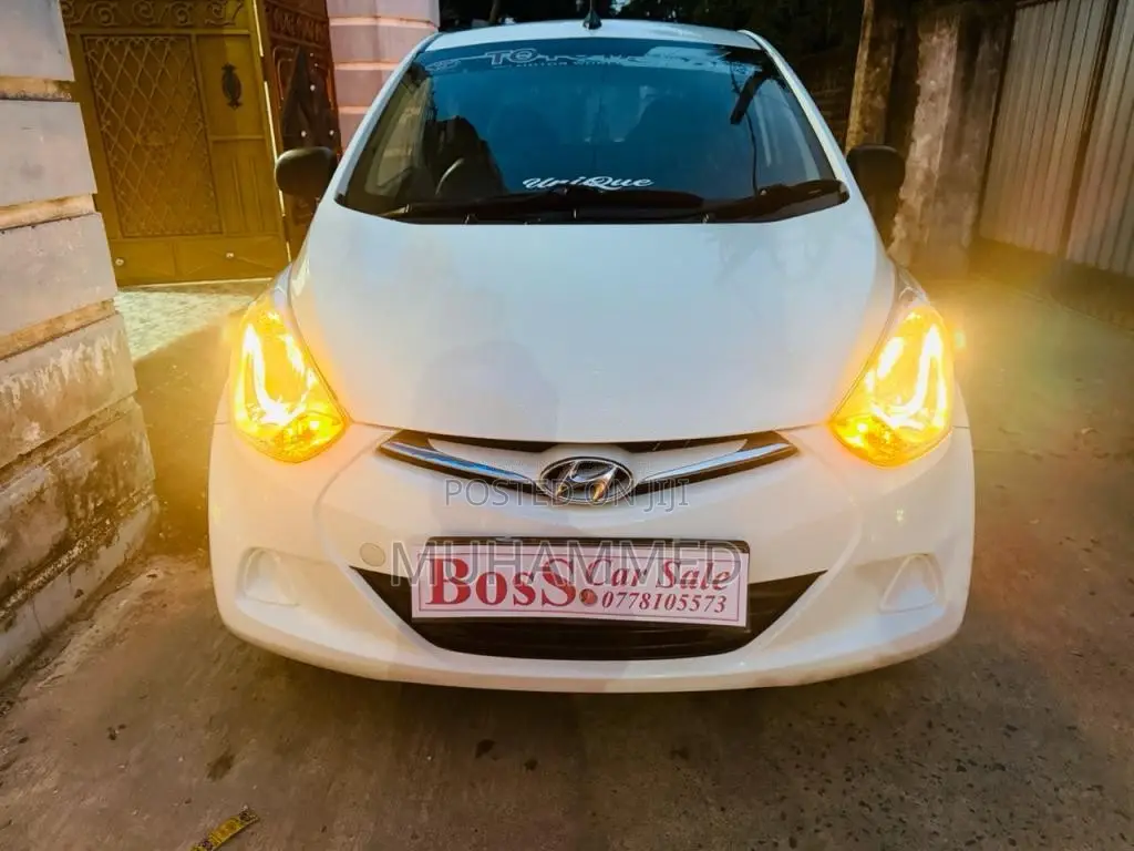 Hyundai Eon Magna 2016 Car (Used)