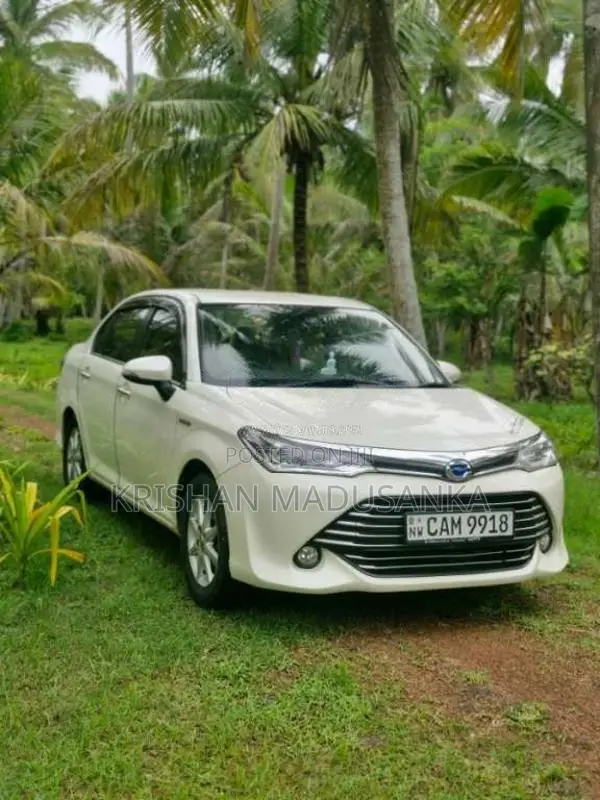 Toyota Axio 2015 Car (Used)