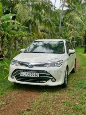 Toyota Axio 2015 Car (Used)