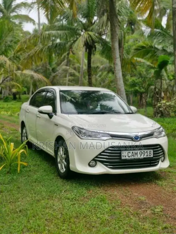 Toyota Axio 2015 Car (Used)