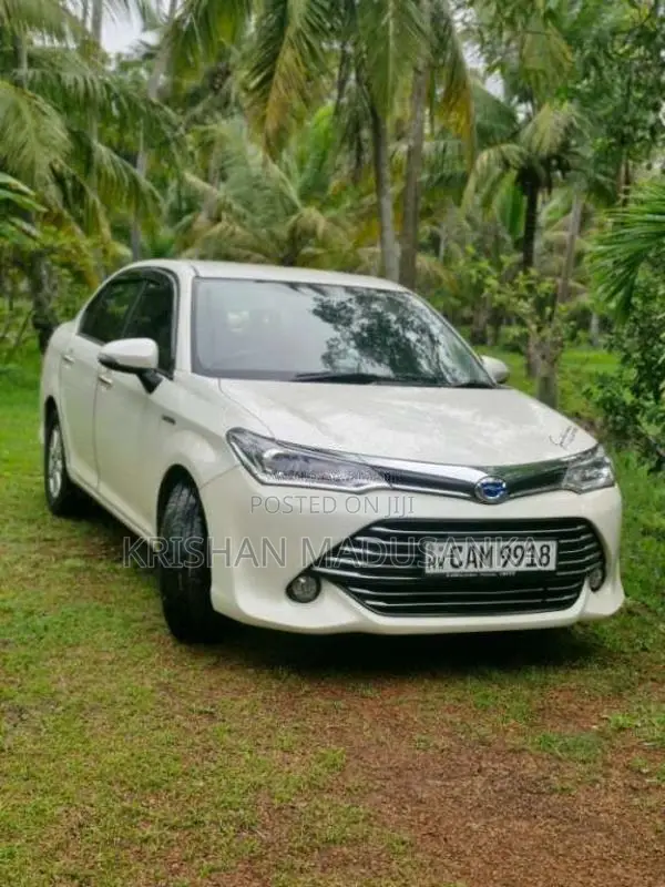 Toyota Axio 2015 Car (Used)
