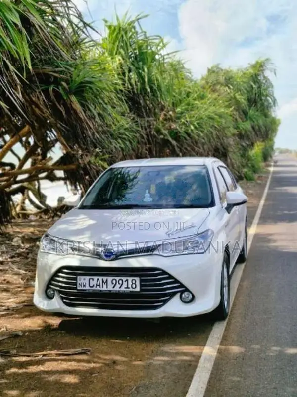 Toyota Axio 2015 Car (Used)