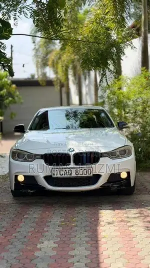 BMW 318i 2015 Car (Used)