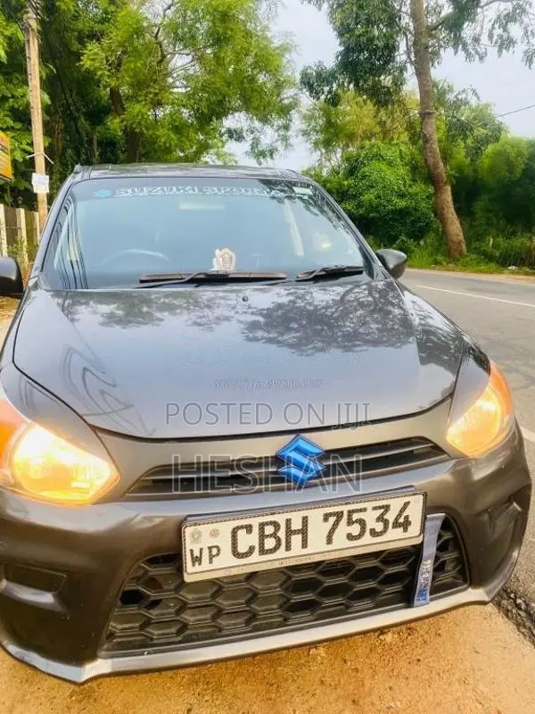 Suzuki Alto 2019 Car (Used)