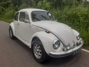Volkswagen VolksWagon 1972 Car (Used)