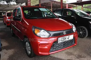 Suzuki Alto 2019 Car (Used)