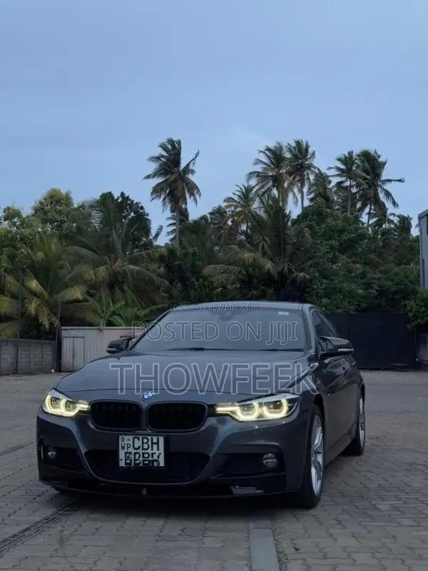 BMW 318i 2018 Car (Used)