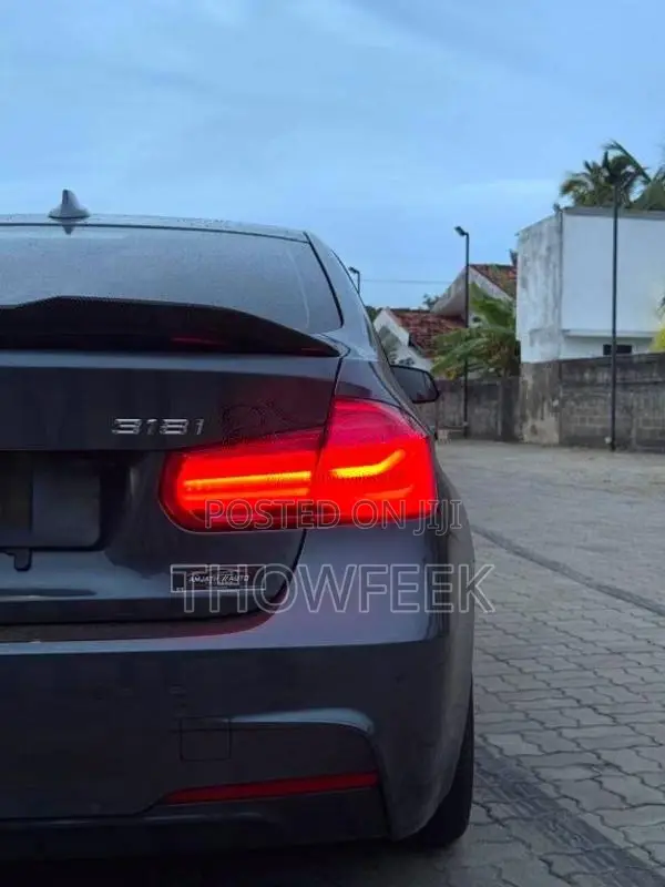 BMW 318i 2018 Car (Used)
