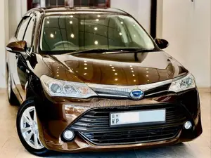 Toyota Axio 2017 Car (Used)