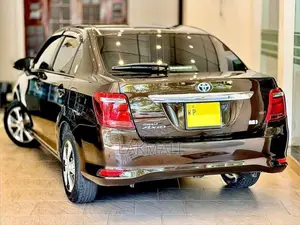 Toyota Axio 2017 Car (Used)