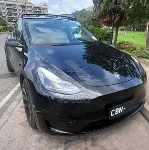 Tesla Model Y 2024 Car (Used)