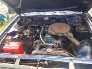 Nissan Sunny 1979 Car (Used)