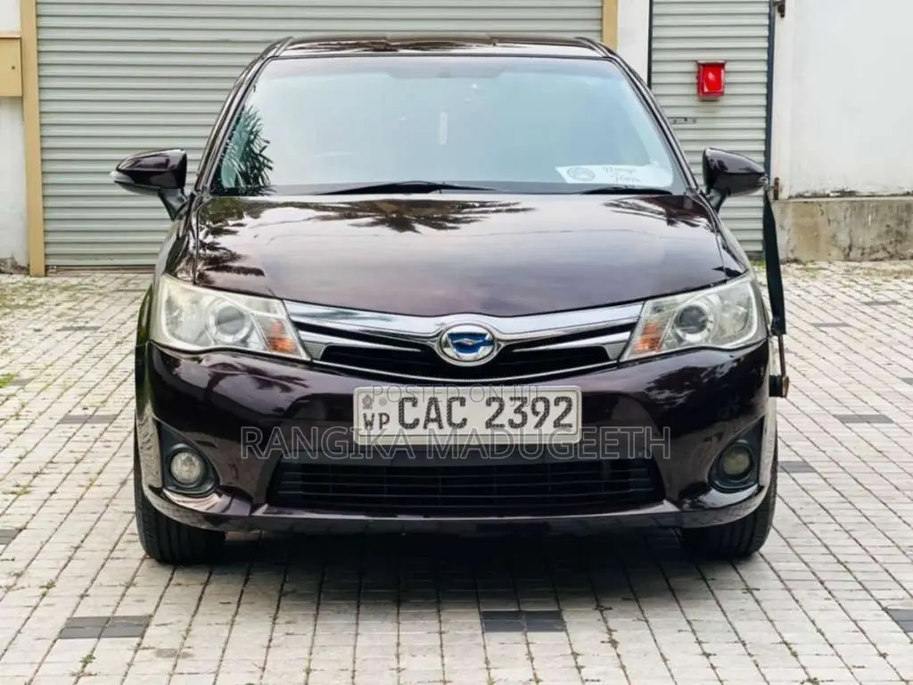 Toyota Axio 2014 Car (Used)