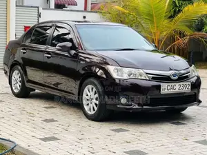 Toyota Axio 2014 Car (Used)