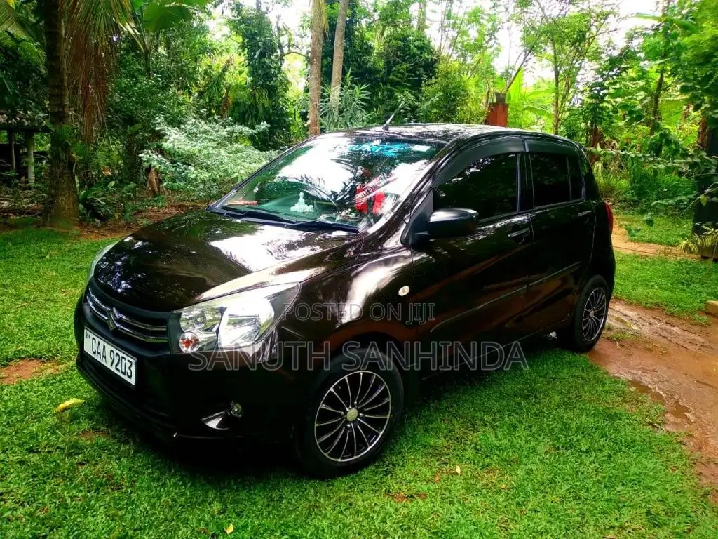 Suzuki Celerio 2014 Car (Used)