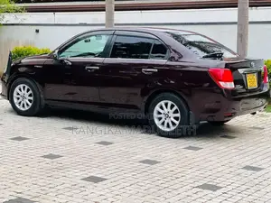 Toyota Axio 2014 Car (Used)