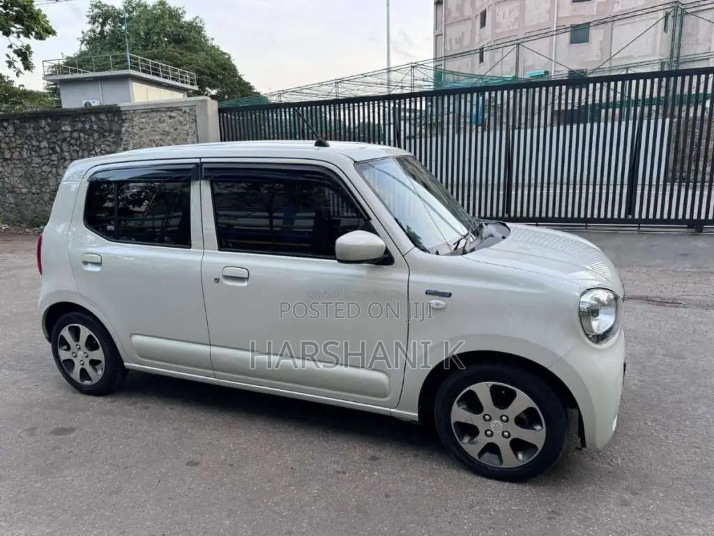 Suzuki Alto 2023 Car (Used)