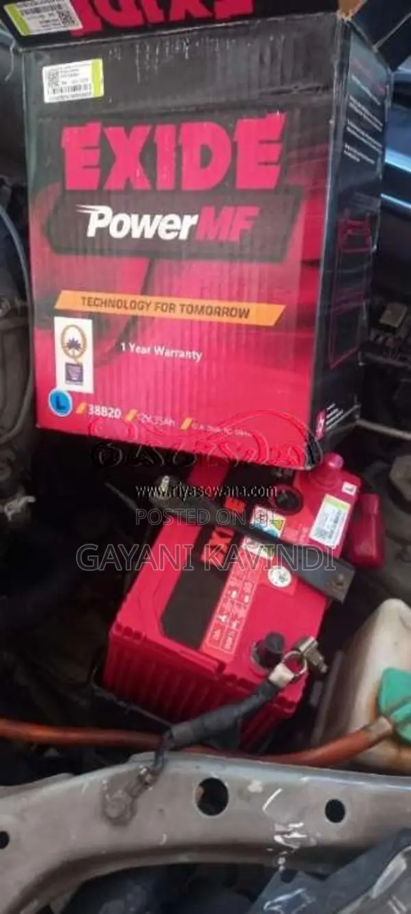 Suzuki Alto 2015 Car (Used)