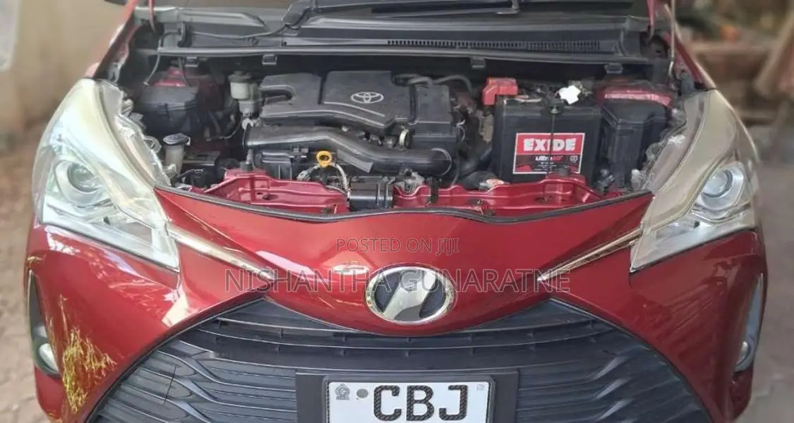 Toyota Vitz 2019 Car (Used)