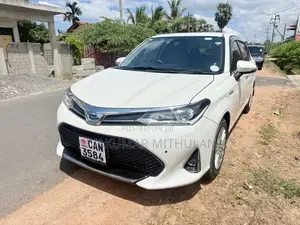 Toyota Axio 2015 Car (Used)