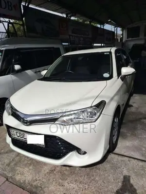 Toyota Axio 2016 Car (Used)
