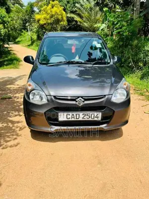 Suzuki Alto 2015 Car (Used)