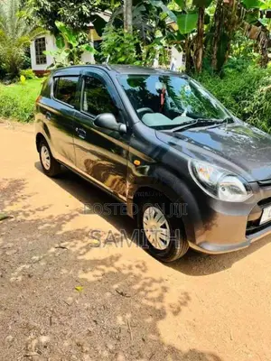 Suzuki Alto 2015 Car (Used)