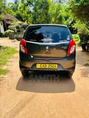 Suzuki Alto 2015 Car (Used)