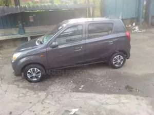 Suzuki Alto 2015 Car (Used)