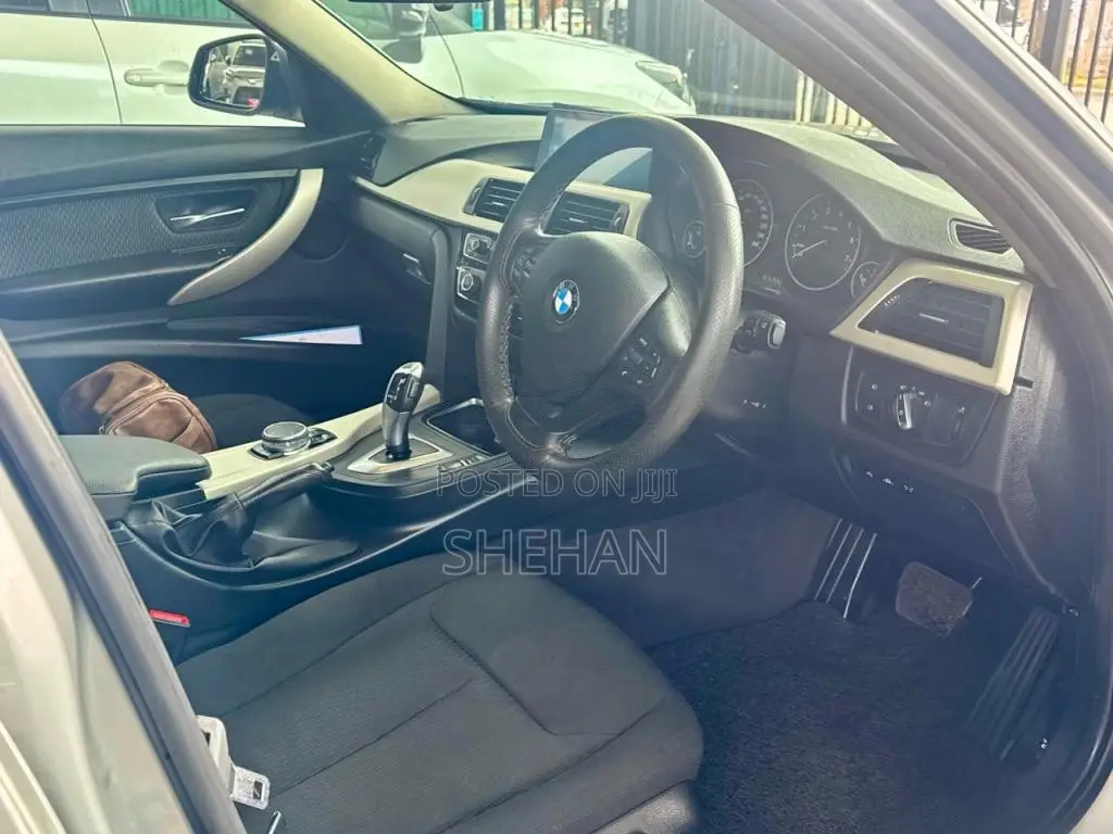 BMW 318i Luxury Line 2016 Car (Used)
