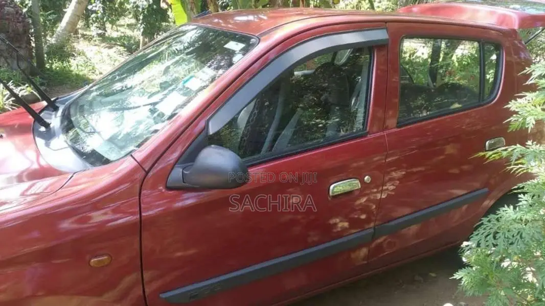 Suzuki Alto 2015 Car (Used)