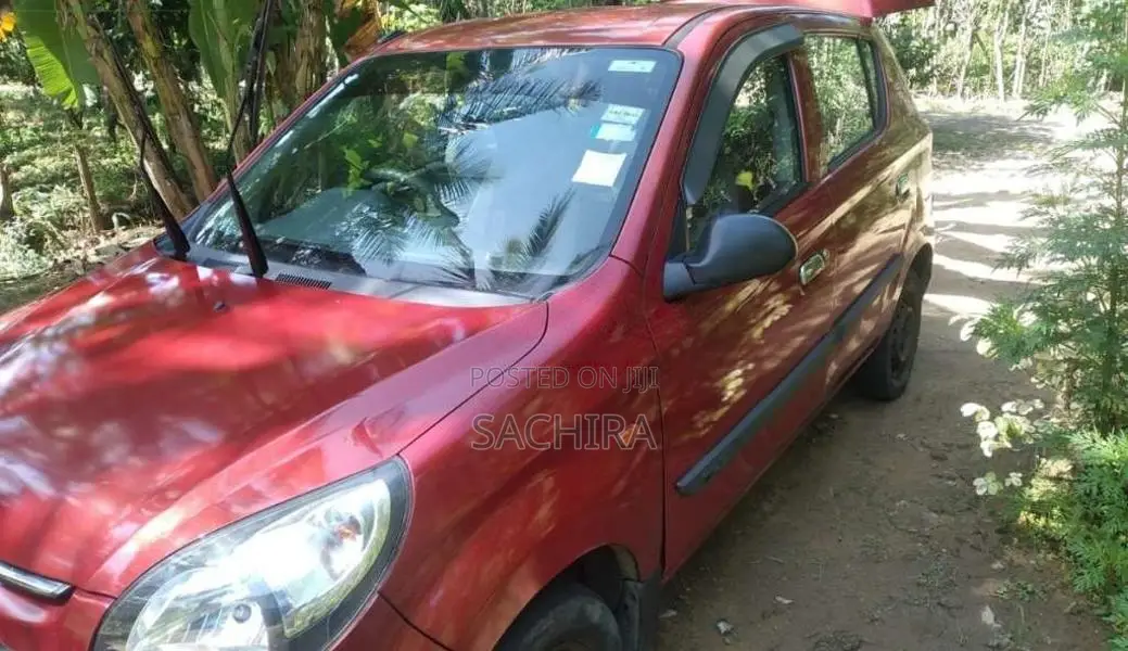 Suzuki Alto 2015 Car (Used)