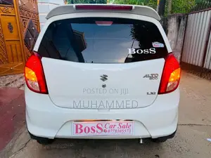 Suzuki Alto 2015 Car (Used)
