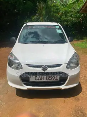 Suzuki Alto 2015 Car (Used)