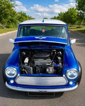 Morris Mini Cooper 1967 Car (Used)