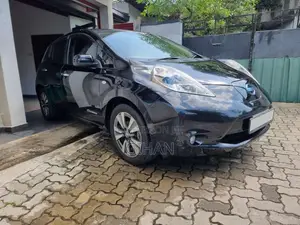 Nissan Leaf 2013 Car (Used)