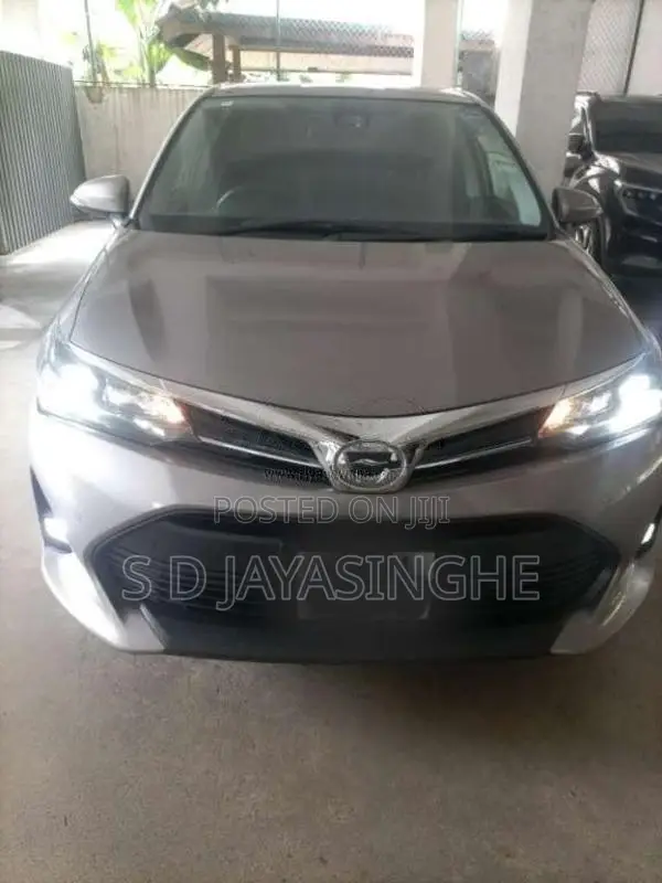 Toyota Axio 2024 Car (Used)