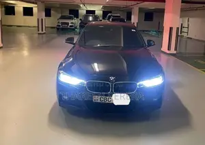 BMW 318i 2017 Car (Used)