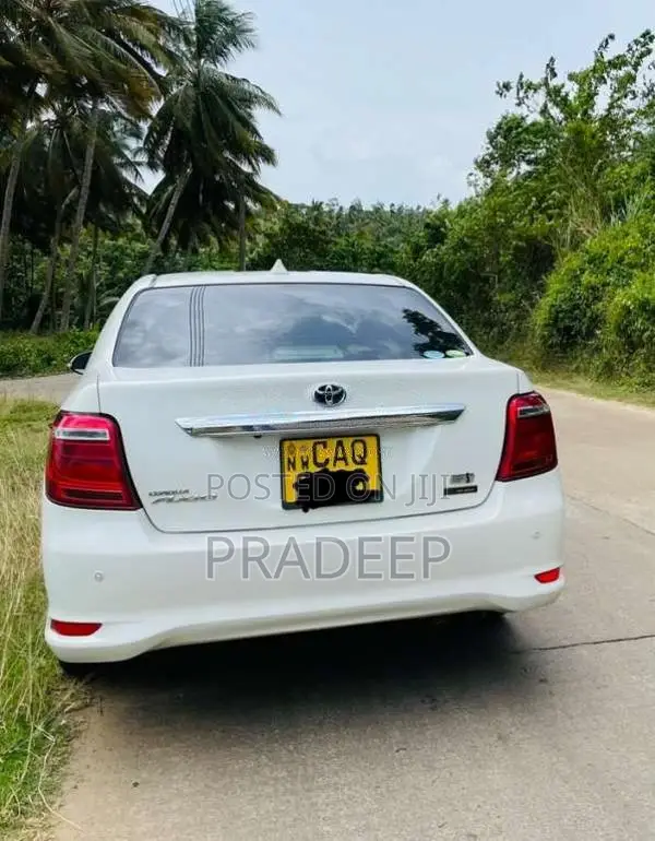 Toyota Axio 2015 Car (Used)
