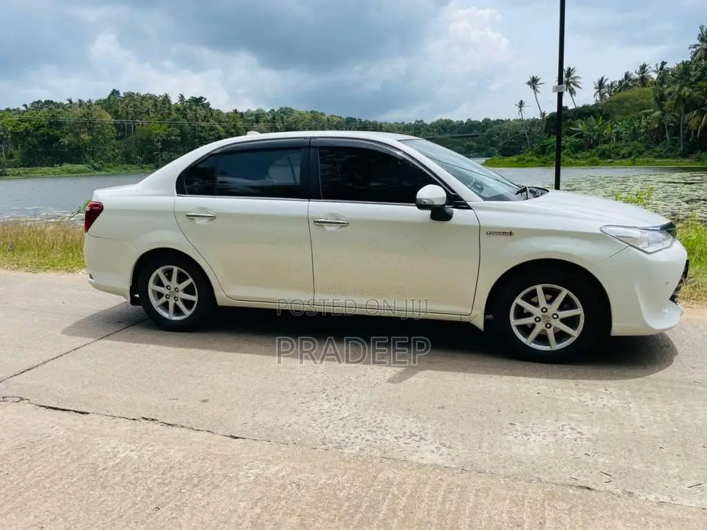Toyota Axio 2015 Car (Used)