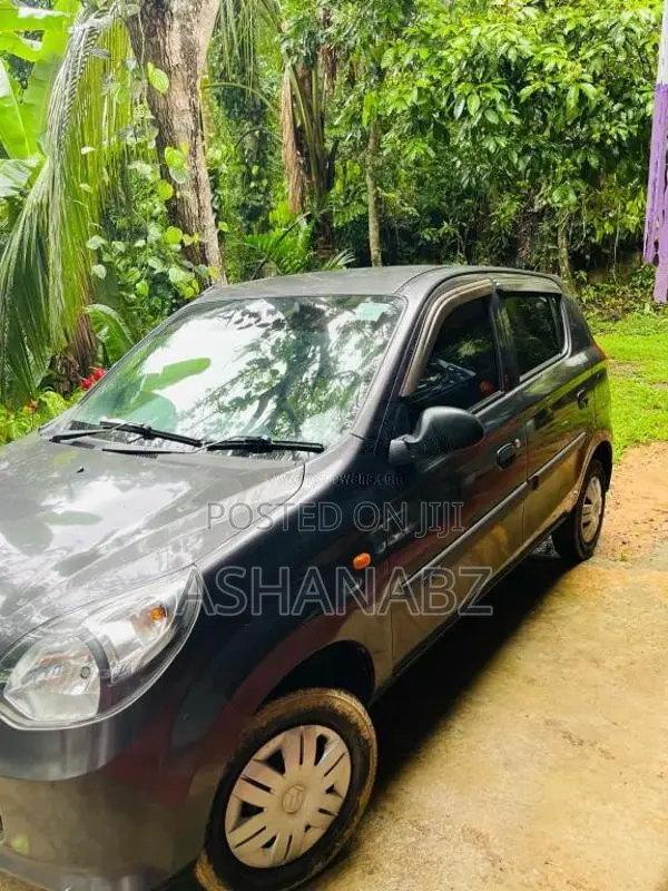 Suzuki Alto 2015 Car (Used)