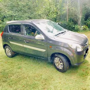 Suzuki Alto 2015 Car (Used)