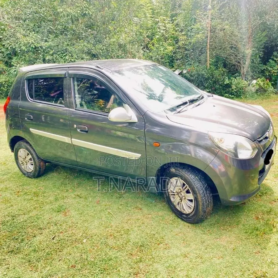 Suzuki Alto 2015 Car (Used)