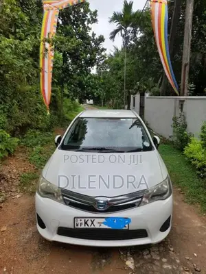 Toyota Axio 2013 Car (Used)