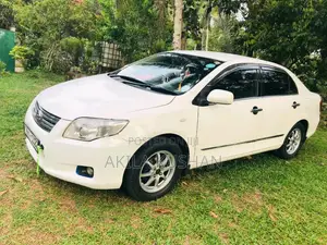 Toyota Axio 2007 Car (Used)