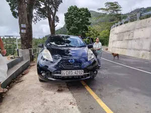 Nissan Leaf 2013 Car (Used)