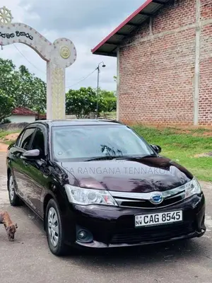 Toyota Axio 2015 Car (Used)