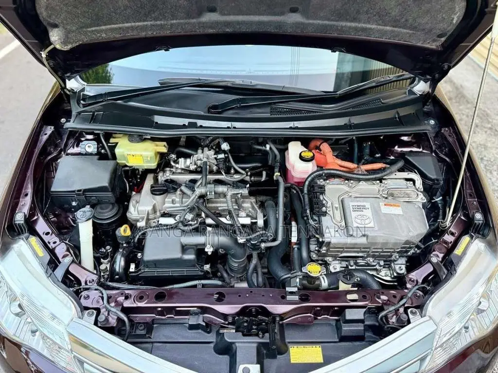 Toyota Axio 2015 Car (Used)