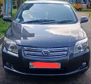 Toyota Axio 2010 Car (Used)