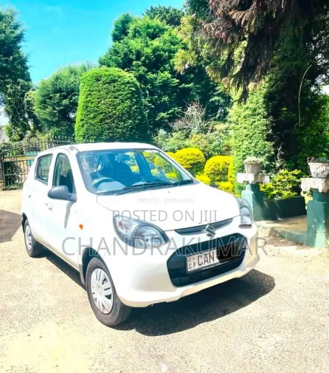 Suzuki Alto 2015 Car (Used)